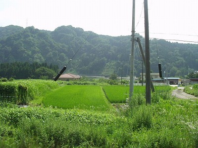 ]w摜