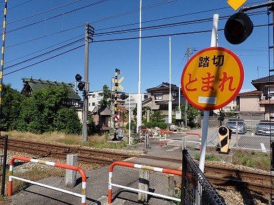 ������w�摜