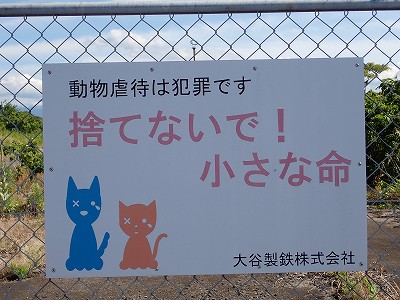 ������w�摜