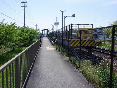 �w���L��w�摜