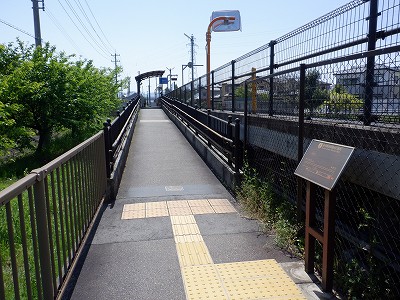 �w���L��w�摜