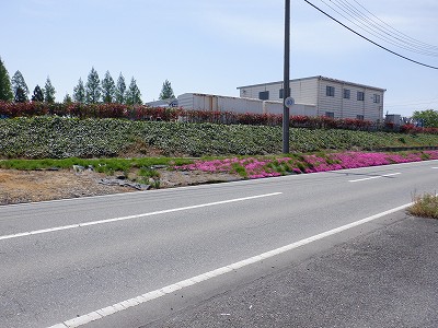 �w���L��w�摜