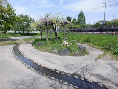 �w���L��w�摜