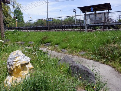 �w���L��w�摜