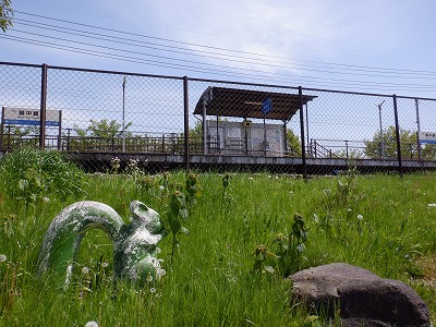 �w���L��w�摜