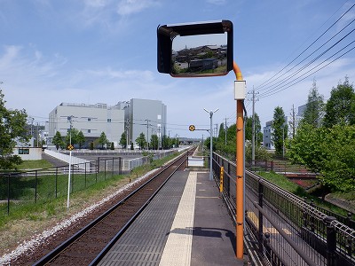 �w���L��w�摜