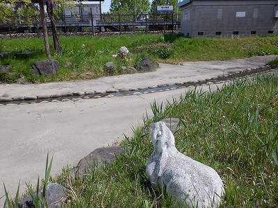 �w���L��w�摜