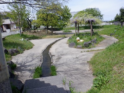 �w���L��w�摜