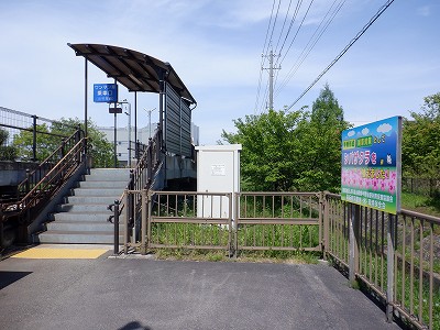 �w���L��w�摜