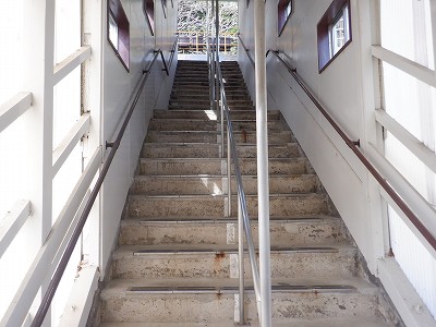 �����w�摜