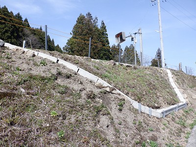 �����w�摜