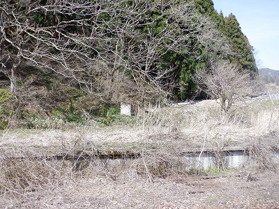 �����w�摜