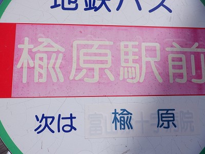 �����w�摜