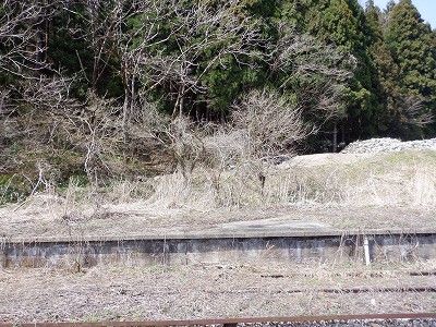 �����w�摜