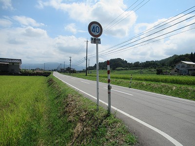 県道