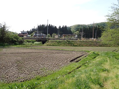 ow摜