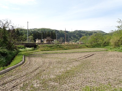 ow摜