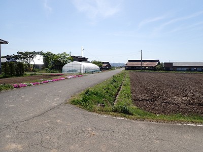 Ww摜