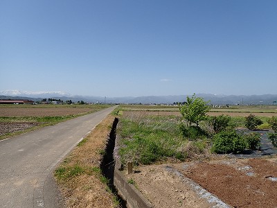 Ww摜