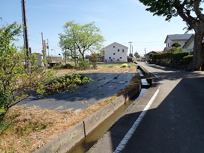 Ww摜