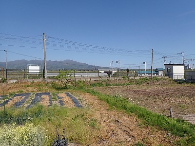 Ww摜