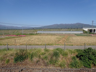 Ww摜