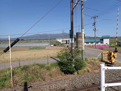Ww摜