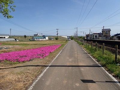 Ww摜