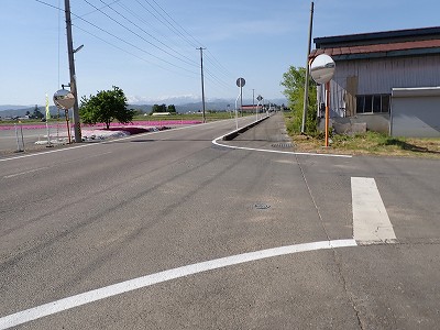Ww摜