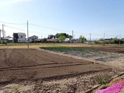 Ww摜