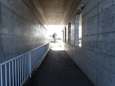 Ww摜