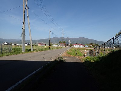 Ww摜