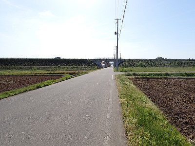 Ww摜