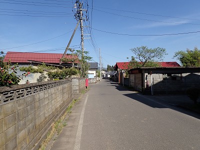 Ww摜