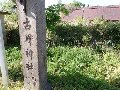 Ww摜