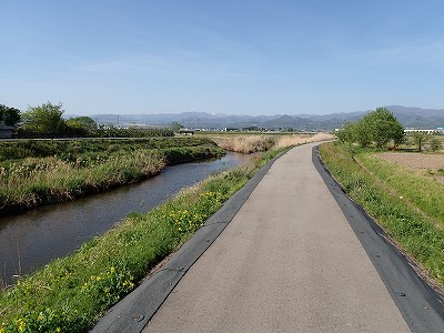 Ww摜