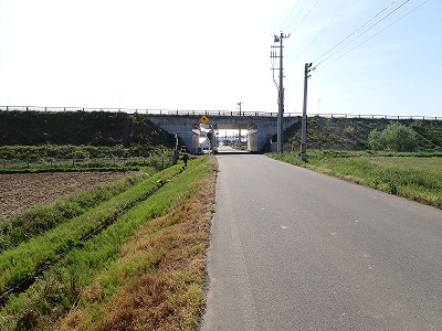 Ww摜
