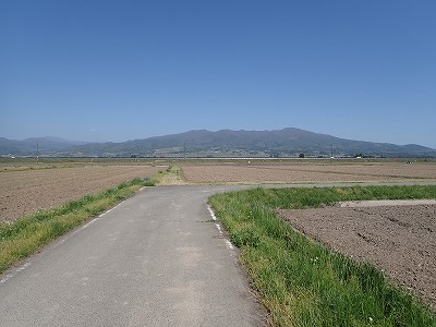 Ww摜