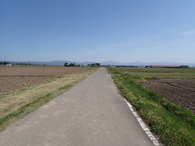 Ww摜