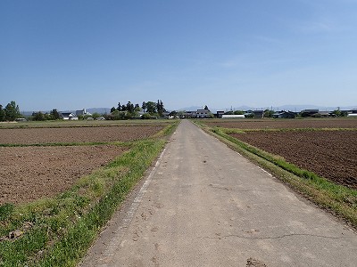 Ww摜