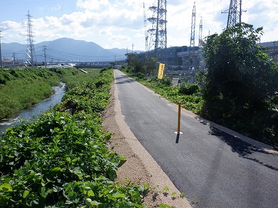 ։w摜