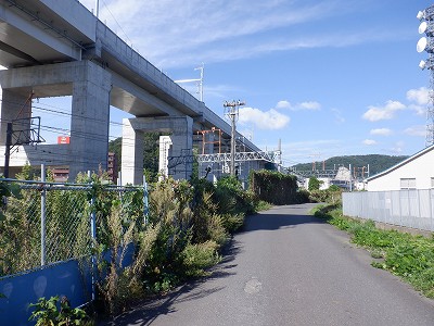 ։w摜