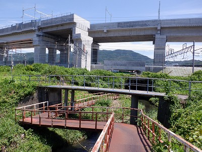։w摜