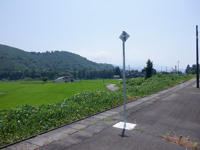 zLw摜