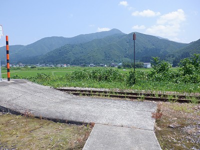 zLw摜