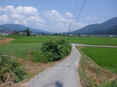 zLw摜