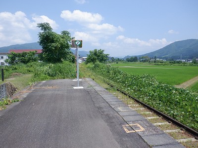 zLw摜