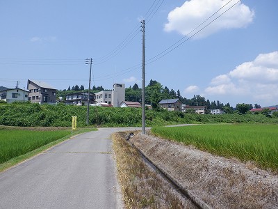 zLw摜