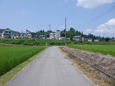 zLw摜