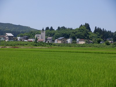 zLw摜